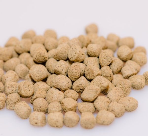 Catfish Broodstock Low-Fat pellets