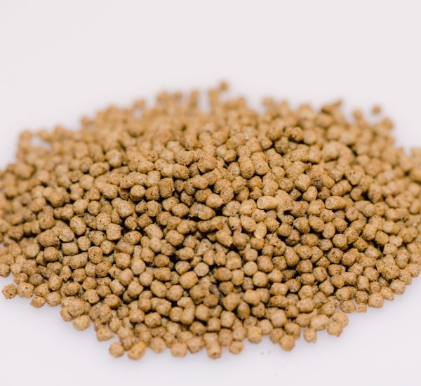 catfish 2mm 5508