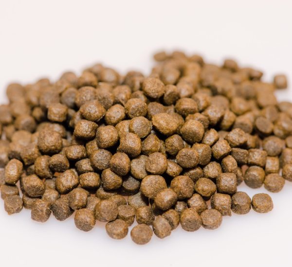 pigeon premium second image pellets